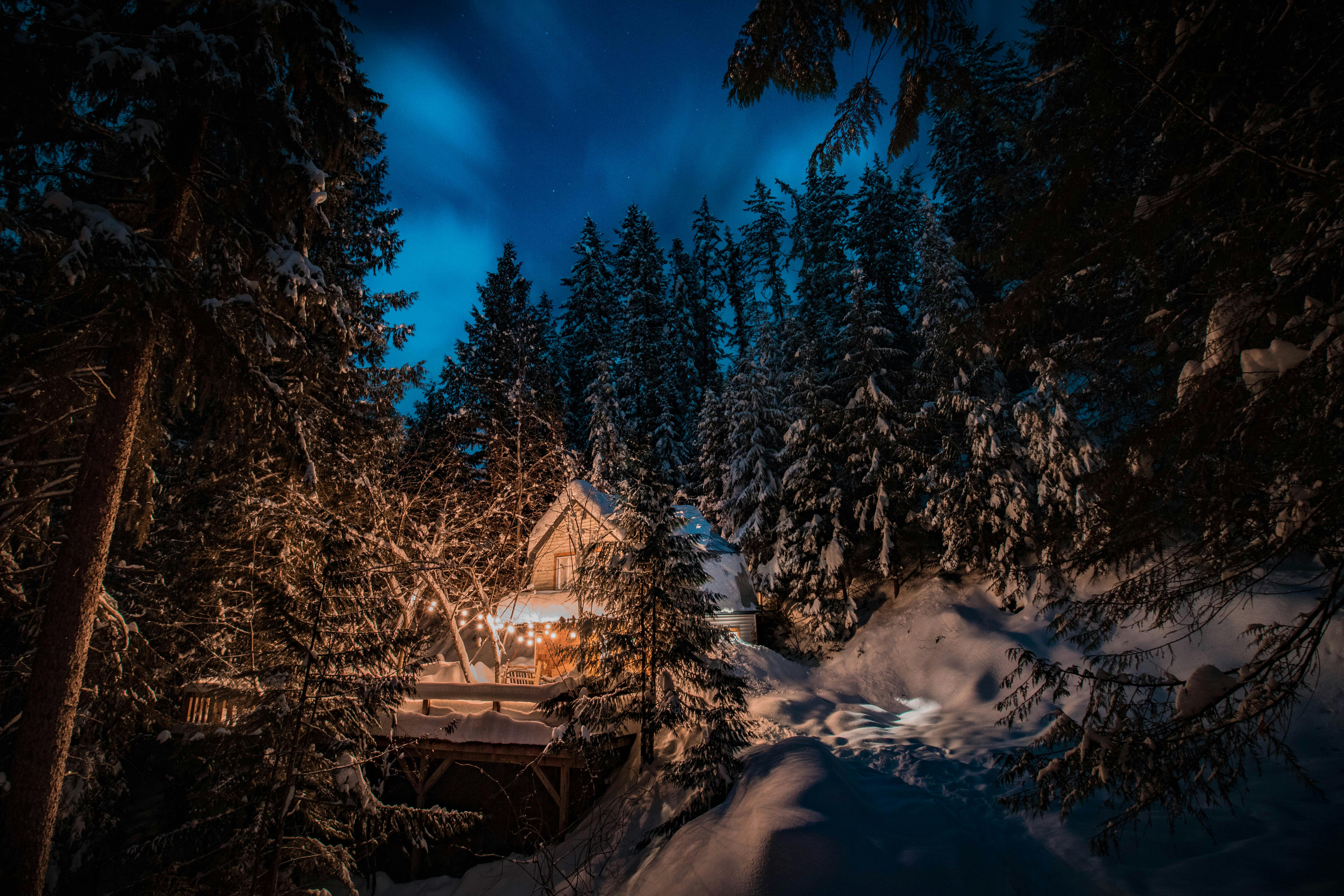 cabin with porchlight